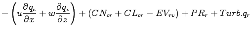 $\displaystyle - \left( u \DP{q_{c}}{x} + w \DP{q_{c}}{z} \right)
+ (CN_{cr} + CL_{cr} - EV_{rv} ) + PR_{r} + Turb.q_{r}$