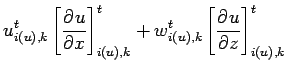 $\displaystyle u_{i(u),k}^{t} \left[\DP{u}{x}\right]_{i(u),k}^{t}
+ w_{i(u),k}^{t} \left[\DP{u}{z}\right]_{i(u),k}^{t}$