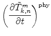 $\displaystyle \biggl( \DP{\tilde{T}^{m}_{k,n}}{t} \biggr)^{\rm phy}$