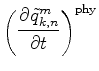 $\displaystyle \biggl( \DP{\tilde{q}^{m}_{k,n}}{t} \biggr)^{\rm phy}$